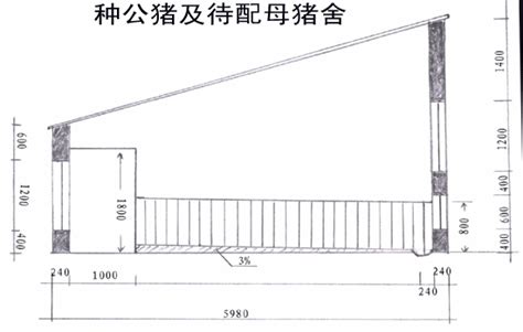 豬住的地方